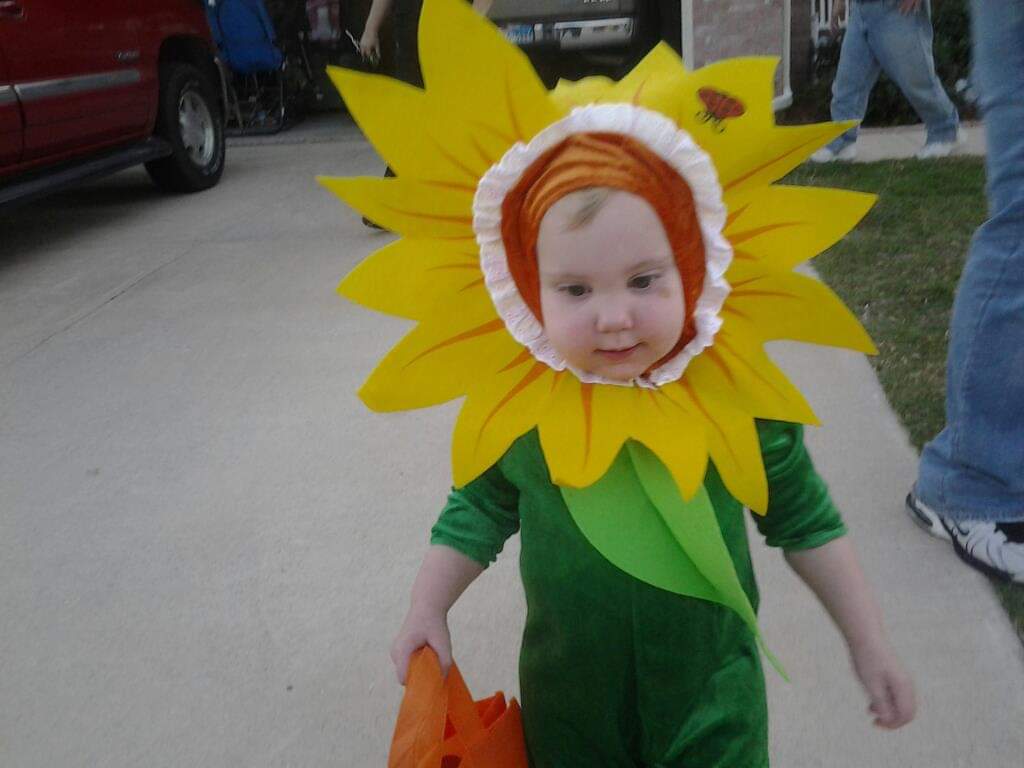 mle_fowler's tweet photo. #FOX4Halloween cuties here! https://t.co/eCSA72BL5Q