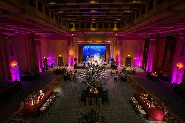 PartySlate's tweet photo. This large black tree centerpiece is spooky yet stunning. Fuchsia lighting gives this Halloween event a mystical feel. || Photographer: @thedecisivemomentdotcom | Rentals: @nuagedesignsinc | Planner: @confero || #PartySlate #PartySlatePro https://t.co/ijSw0ANLc5