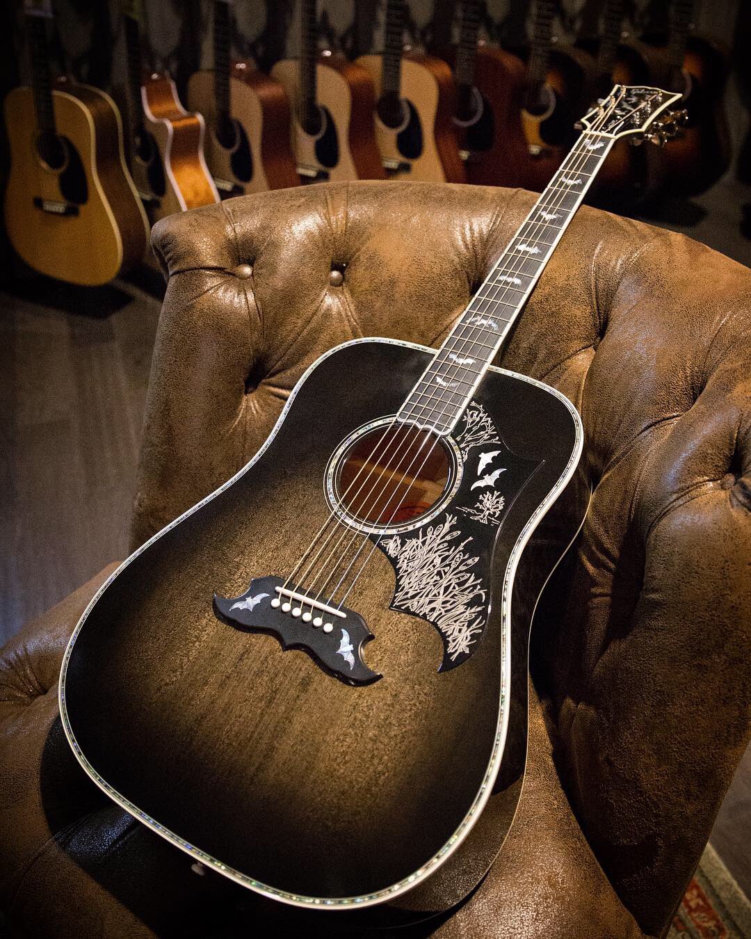 Epiphone bats in flight outlet