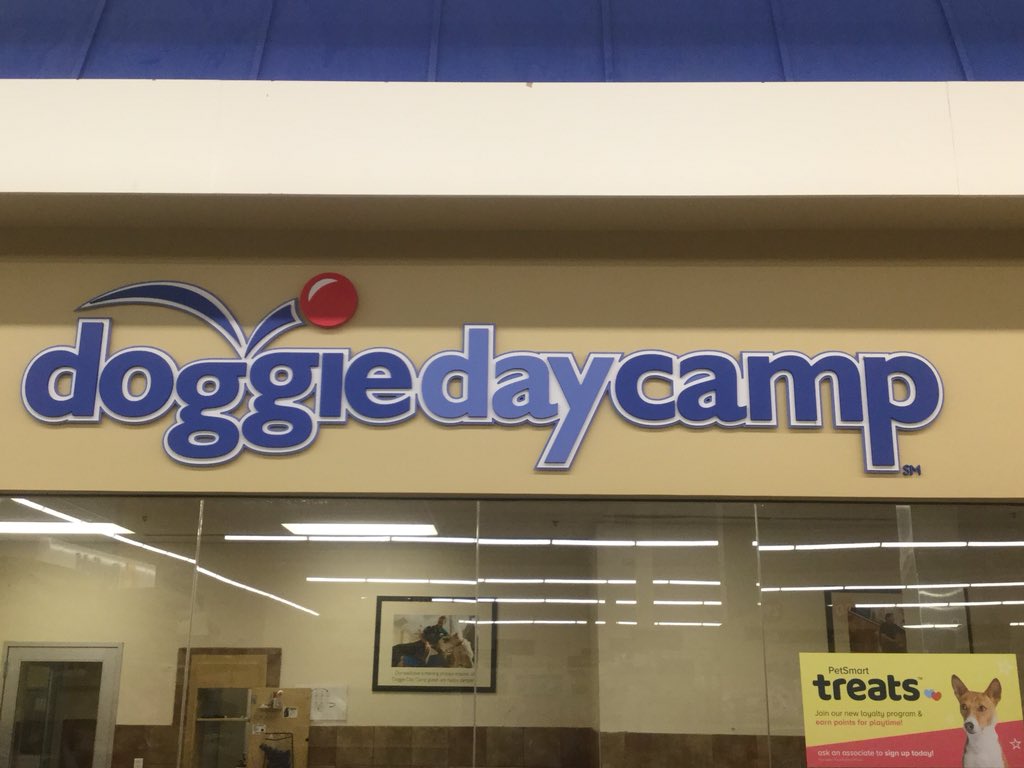 Petsmart Grooming-Commack (@groomingcommack) on Twitter photo 