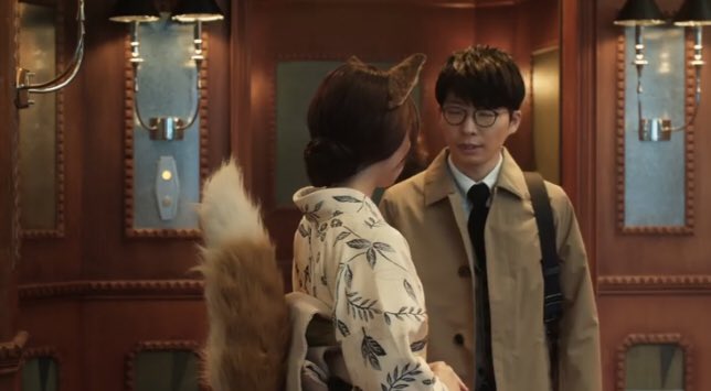 どんフォックス