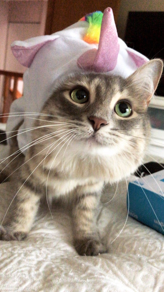 And have a safe and Happy Halloween!