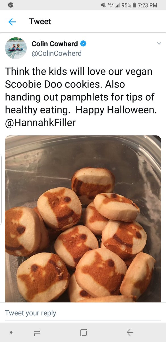 VP of the Bill Walton Fan Club tweet media