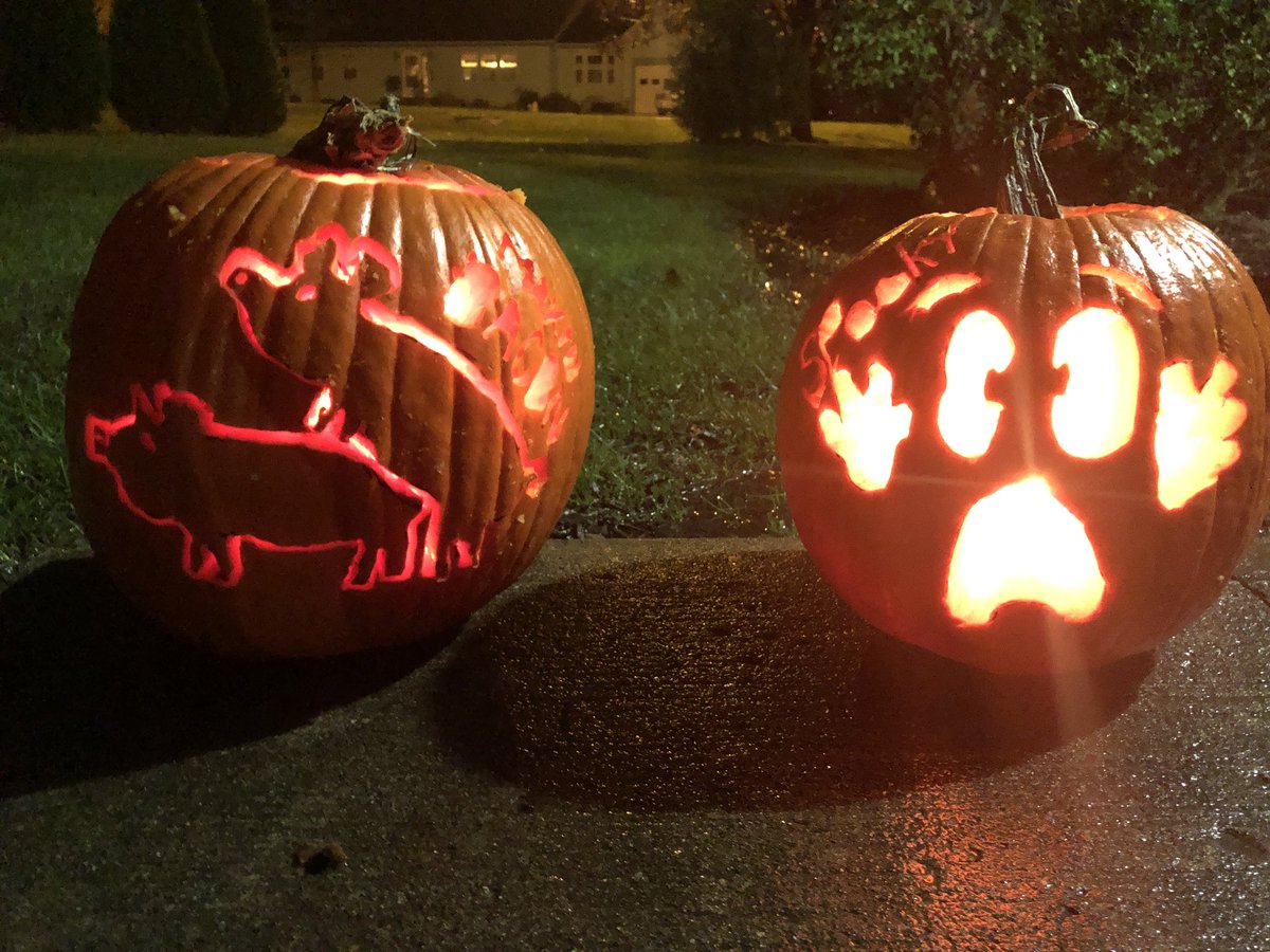 emmielous's tweet photo. Guess which one is mine.... https://t.co/aey2TNO70l