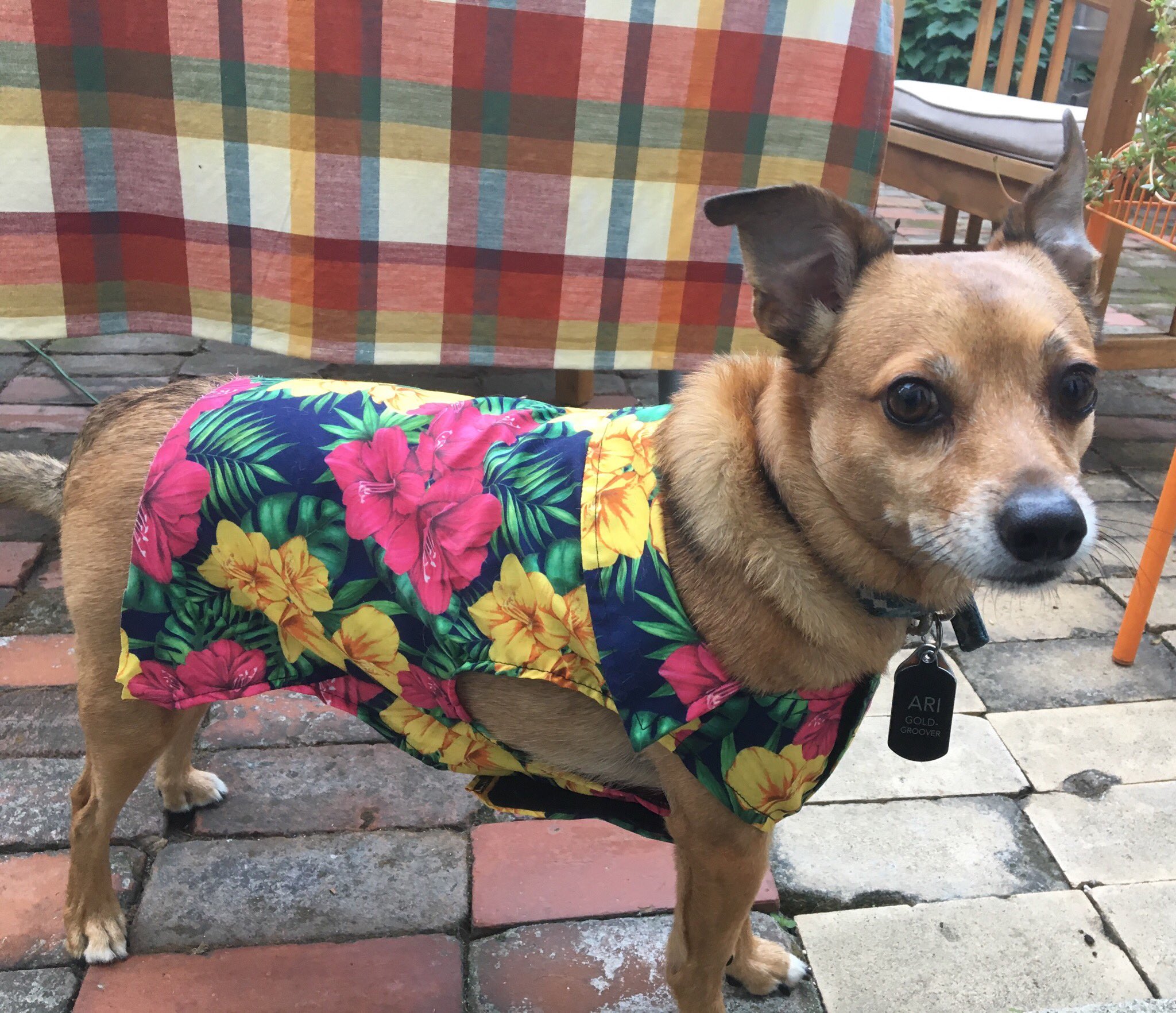 Happy Halloween/Nick Saban s birthday. 