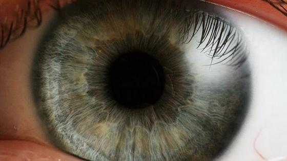 "Evidence shows eye scan may identify early Alzheimer’s Disease" via <a href="/HealthImaging/">Health Imaging</a> bit.ly/2PvTxi9