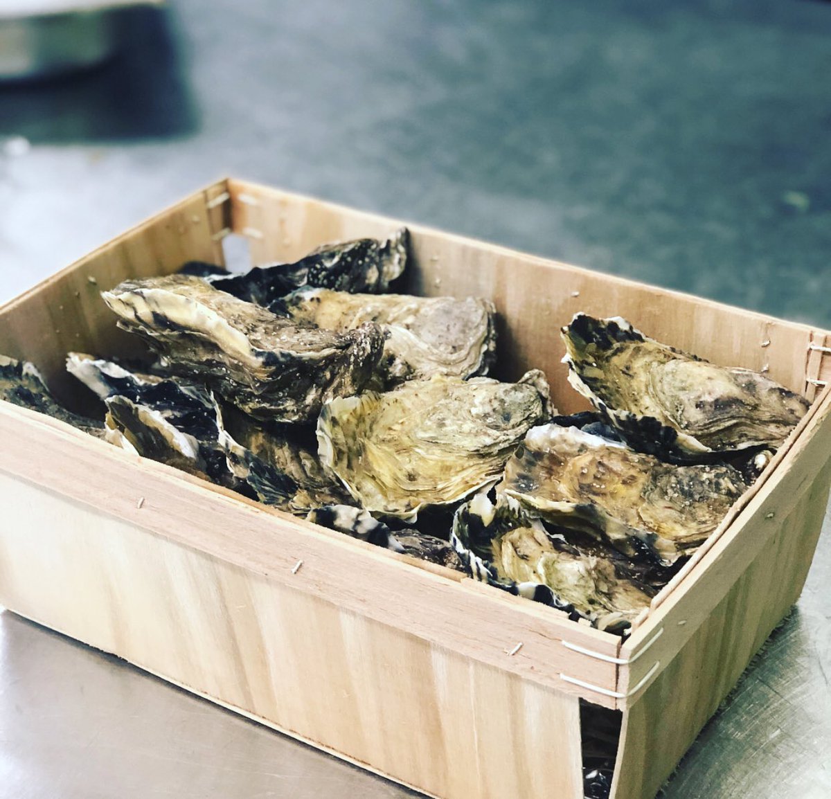 Beautiful #oysters #shellfish #fresh <a href="/Thenagsheadlit1/">joseph Clark food</a> <a href="/ItsFoodPorn/">FoodPorn</a> <a href="/Foodiechats/">#Foodiechats</a> <a href="/GreatCountryPub/">Great Country Pubs</a>
