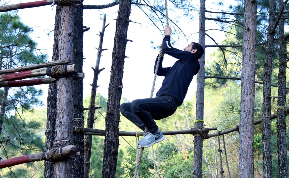 Shoolini University tweet media