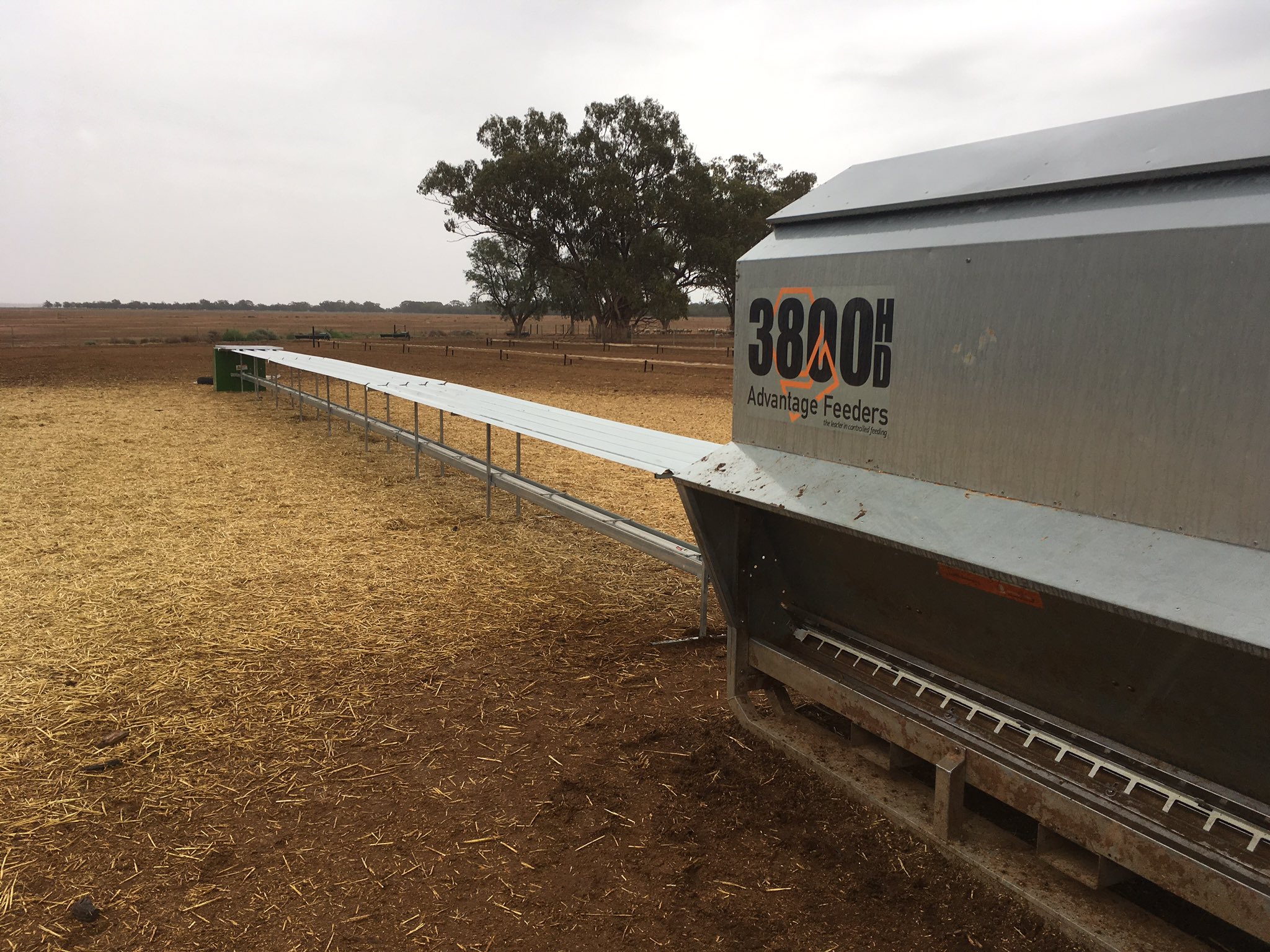 Auto grain feeder cheap