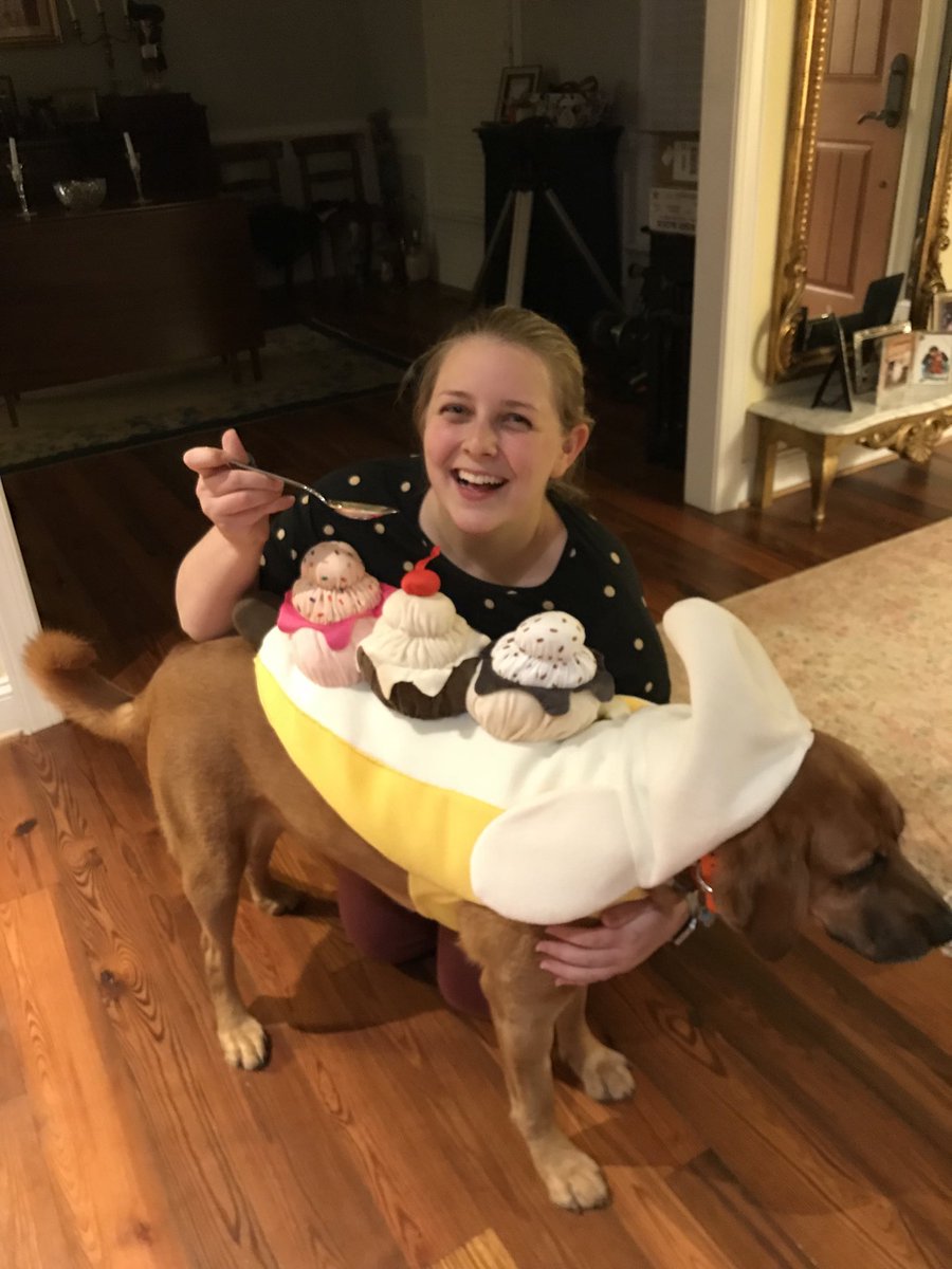 sjswerner's tweet photo. Yummy!! #dogsincostumes #dogsoftwitter https://t.co/XBr1iBf6k4