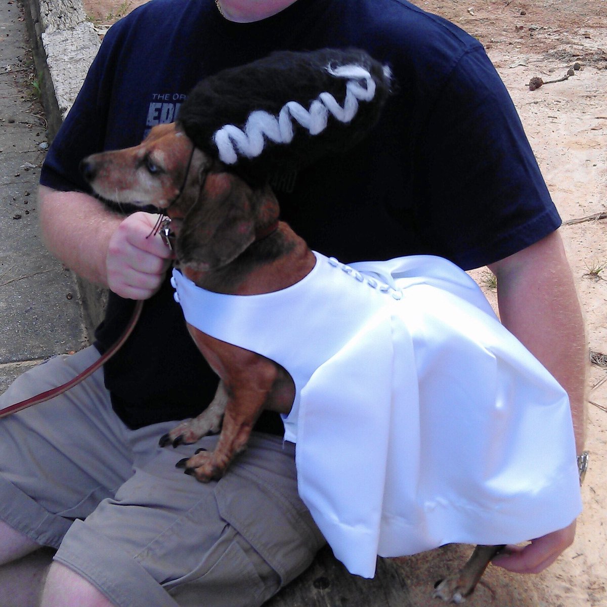 3doxiteers's tweet photo. Throwbacks of mama dressing me funny for #Howloweenie. 🙄🎃☠️👻😈 Chien andalou, red hat society gal, bride of Frankenweenie, and a steampunk badger buster. 👻 https://t.co/I9KdbqQhbw