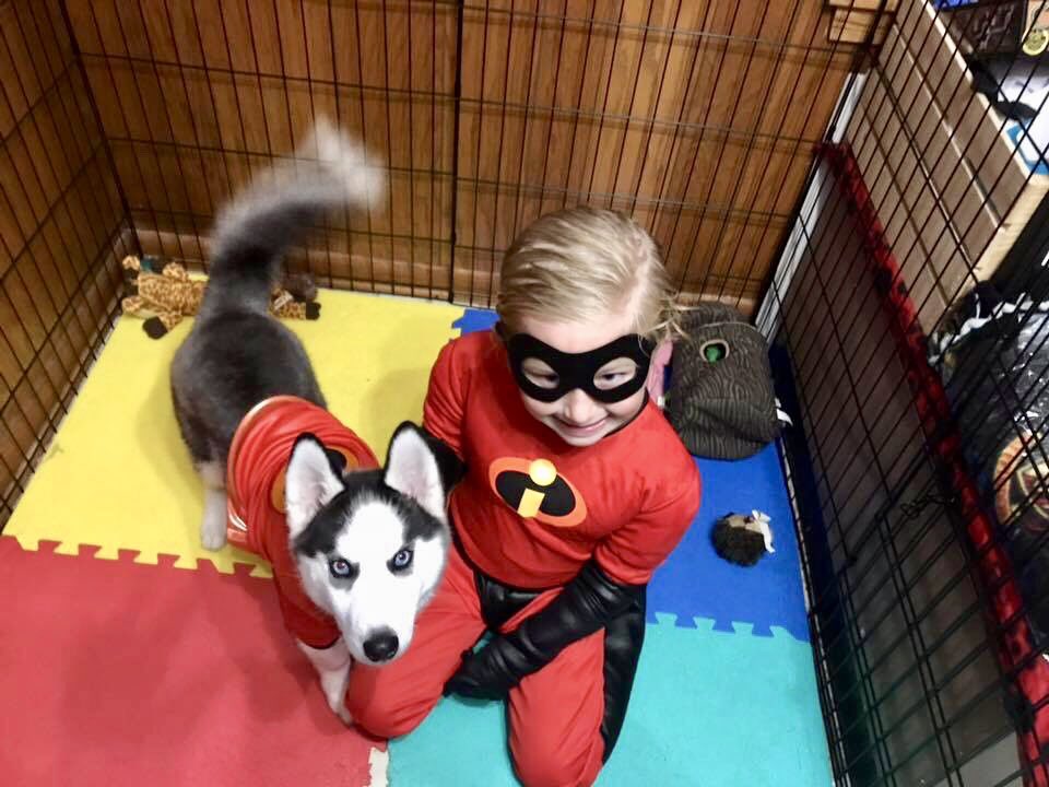 AAH_MN's tweet photo. We agree—this #Halloween is pretty...incredible. https://t.co/7akoVx52gw