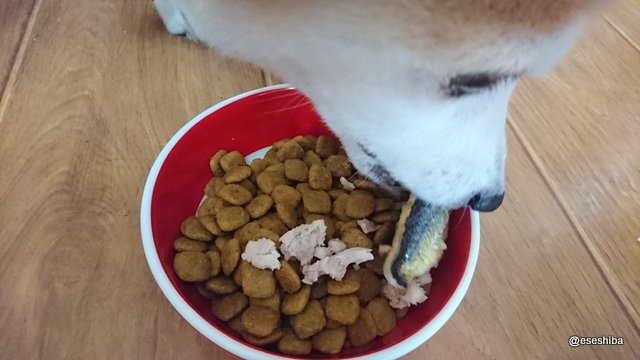 柴雑種犬リアの写真帳 On Twitter 味付けナシで焼いたサンマを皮ごと1切れ 白っぽいものは鶏肉をレンジでチンしてからほぐしたもの 腎臓が弱って療法食なので 基本的にはフードのみなのですが たまにはね 美味しいものを食べる喜び 大事