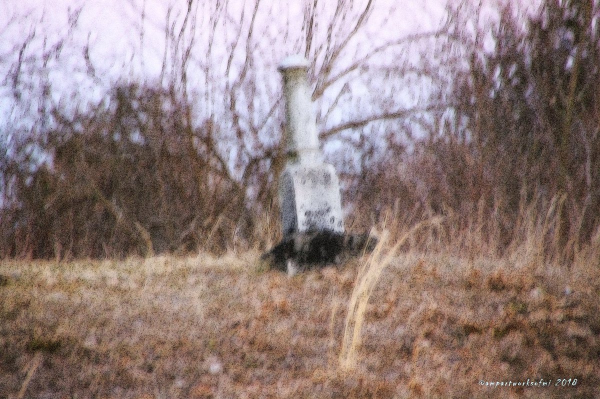 AMPartworksofMI's tweet photo. #HappyHalloween 🎃✨ #ampartworksofmi #creepy #Michigan #artphotography #muskegon #GrandRapids #TrickOrTreat #lifeissweet #lifeisshort #cemetery #spooky #creepytrees 👀🎃🍂🌲🌳🌑🌙✨ #HappyHalloween2018 #creations #neverstop #makeyourmagic #manifest #success ✨ #create #inspire https://t.co/kxfuKuqWeK