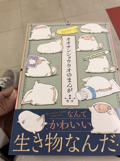 イラスト集 新鮮なかわいい イラスト オオ サンショウウオ