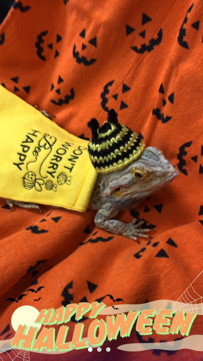 eternalightshop's tweet photo. Happy Halloween everyone! 🎃💀👻 Look at this cute little Bee named Bernard! His momma said he stole the spotlight at their Hallween party! 🐝🐝🐝 Photos from adoty7 💖

#crochet https://t.co/DhO6OuTt1L