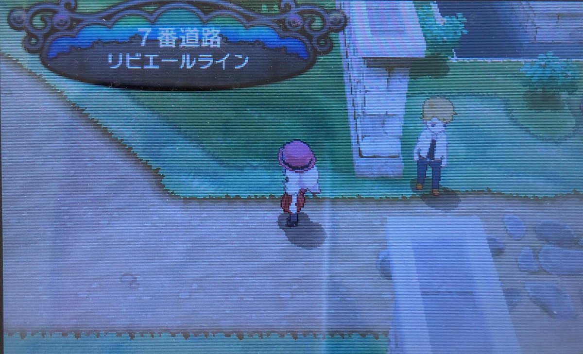 9 お城や宮殿に行く その2 ピクミン マリオ ドラクエ Ff ポケモン日記