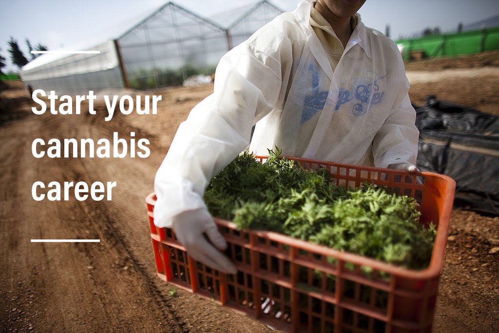 Dispensary Jobs USA (dispensary_jobs) Twitter