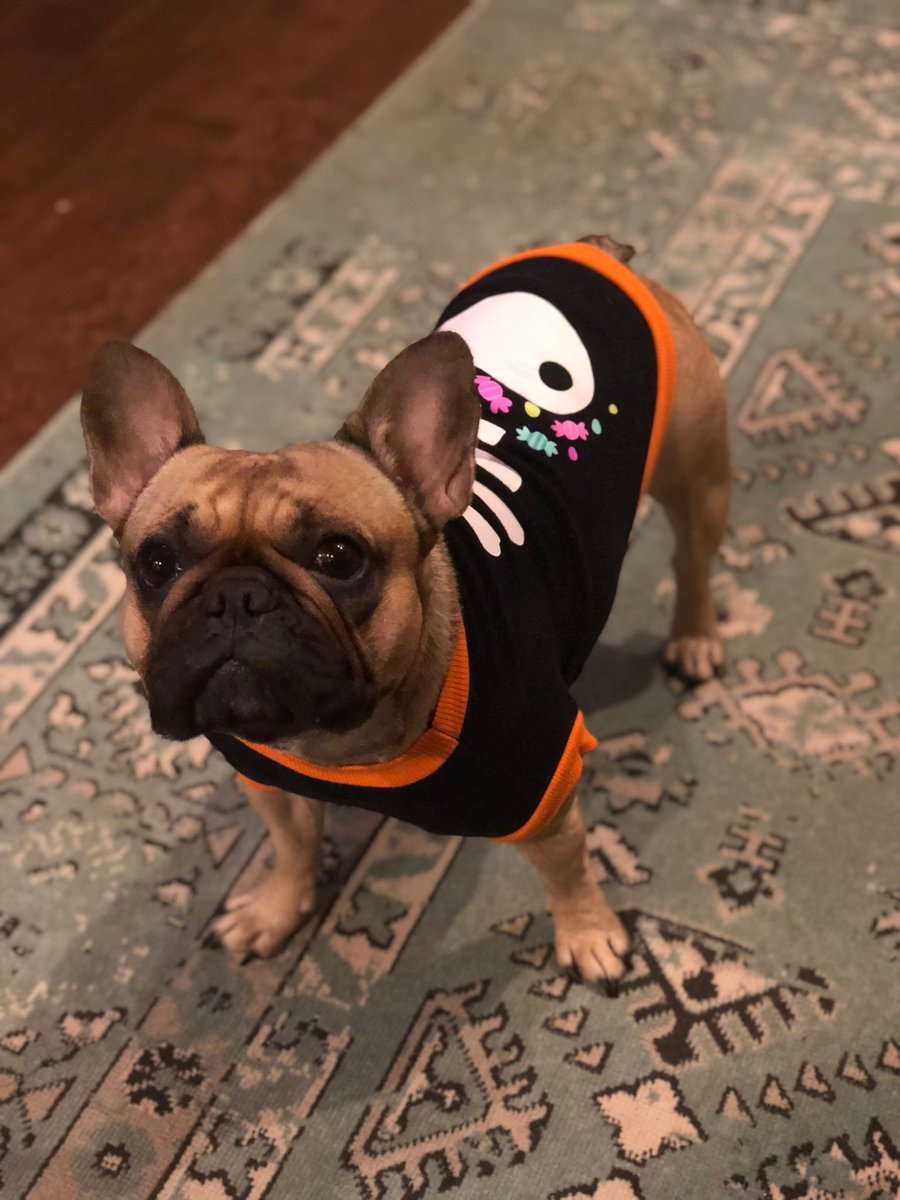 mrsharrislhsk's tweet photo. Our cutest (and only) trick or treater of the night 😍🎃☠️ #theother2aresleeping #morecandyforme https://t.co/Ftwbynwmz9