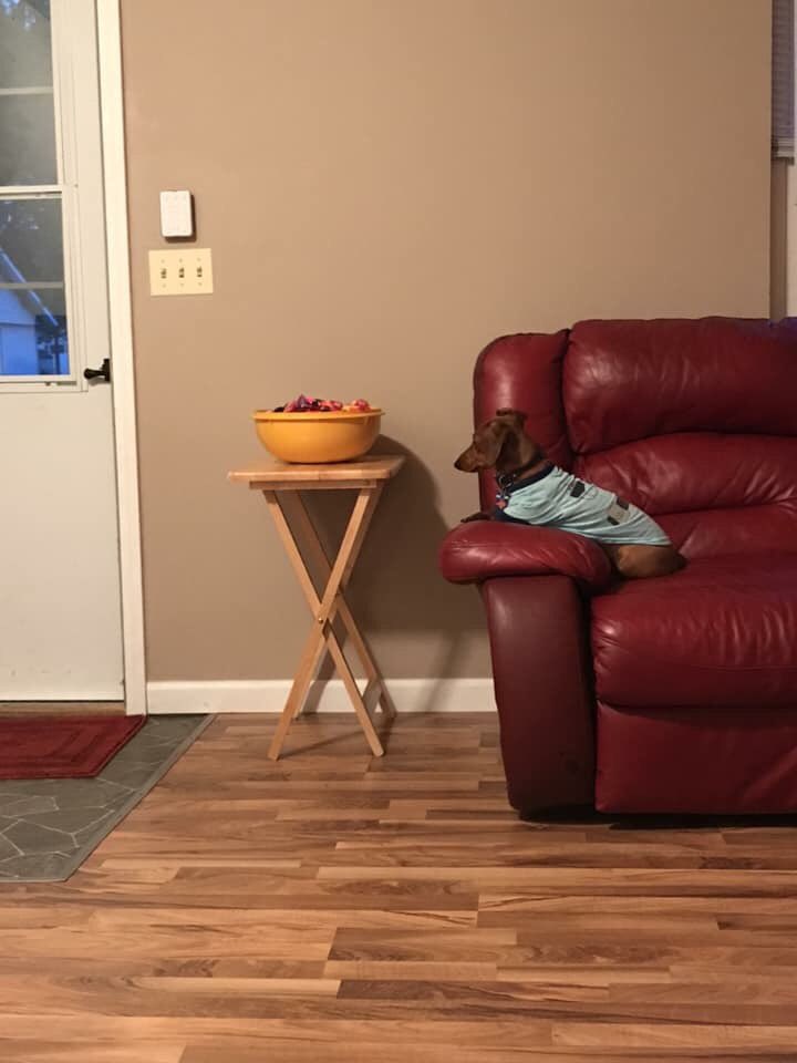 GrooverKyler's tweet photo. No one came and got candy from rosco https://t.co/L7XubNAjsx
