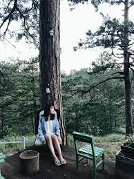 brownleigh461's tweet photo. Never frown, even when you are sad, because you never know who is falling in love with your smile https://t.co/S0N7EerFA5