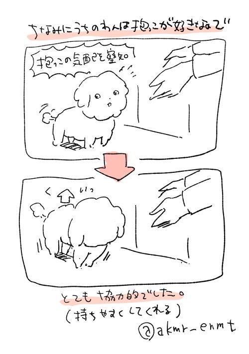 犬の日ということで、愛犬(トイプードル♂享年19歳)の漫画など。
だっこのあれそれと、介護の思い出編※再掲
#犬の日
#わんわんわん
#じじわん