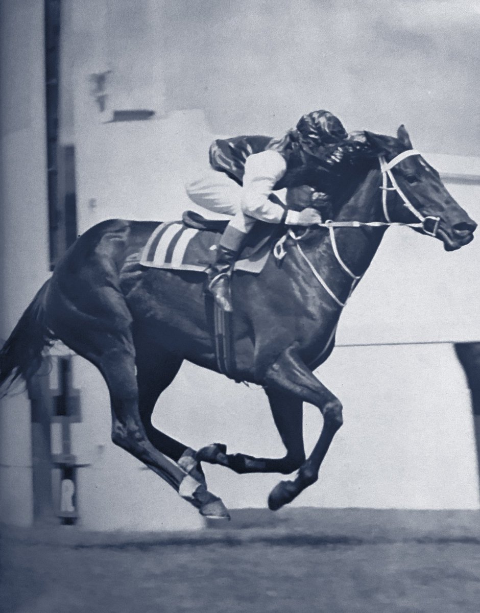 FormFocusHQ's tweet image. Derby Day 1974: LEILANI (Peter Cook) strolls home in the Mackinnon Stakes, the first of 10 wins at the 1974 VRC Carnival for Bart Cummings, establishing a new 4-day record #formfocus