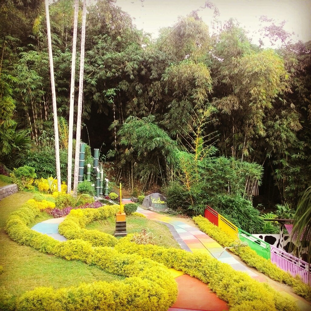 Di Hutan Bambu, kutinggal salam mu kubawa senyum mu.
#paketedukasi #wisatasendang
#wisataedukasi #wisatamurah
#outbondkidstulungagung
#outbondtulungagung
#paketoutbond
#cowindo
#paketgathering
#wisataalamtulungagung