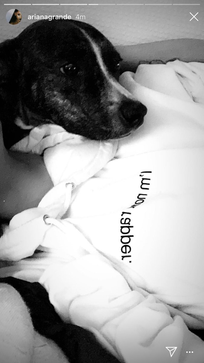 TheoryGrande's tweet photo. Ariana Grande hints she won’t be at Mac Miller’s celebration of life in insta story: “I’m not a rapper” And evidence that she is leaving LA. Buttt where are her amazing costumes this year? She is solo and badder than ever! #MacMiller #ArianaGrande #HappyHallowen https://t.co/bsJLZa6vYn