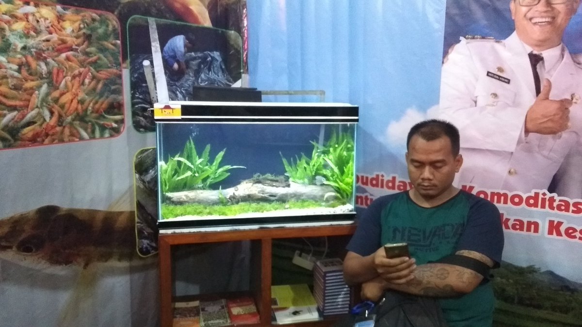Temanggung Fisheries Extension tweet media