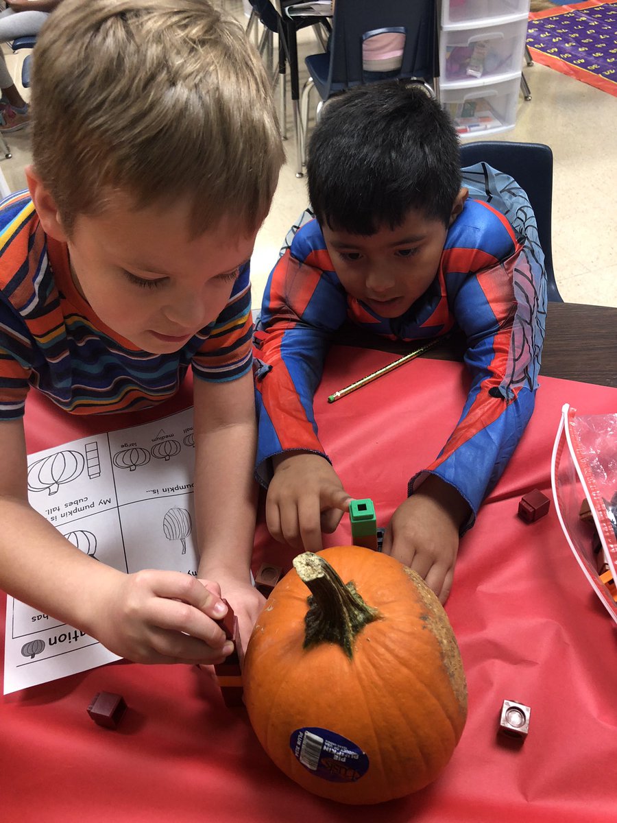AguilarLearning's tweet image. Digging in to some pumpkin exploration today! #MathConcepts #ScienceConcepts #learningisfun
