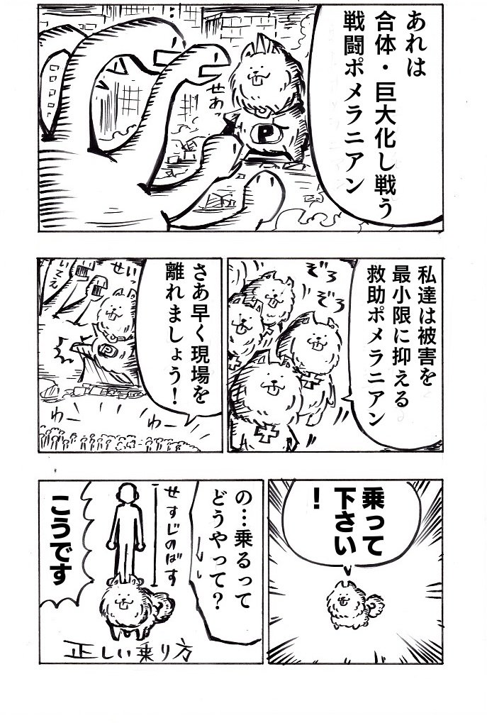 犬の日ということで以前描いたポメラニアンの漫画です① 