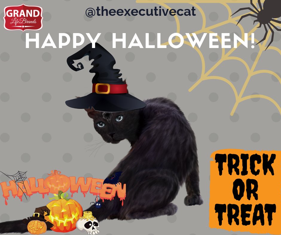 theexecutivecat's tweet photo. #HappyHalloween #Halloween2018 #CatsOfTwitter #catlovers 🐱 https://t.co/HPtSAuYQJj
