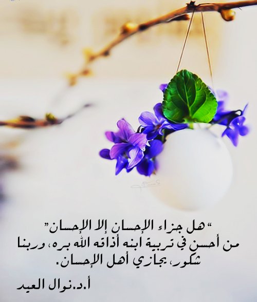 هل جزاء الأحسان إلا الأحسان Abkorked Tvitter