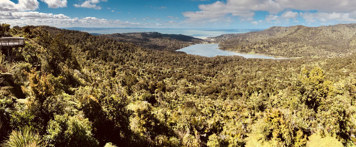 MirandaFrijns's tweet photo. When visiting Auckland a trip to the Arataki Visitor Centre at the Waitakere Ranges is a must 😍👌🏻 You’ll learn about the New Zealand wilderness, animals and Maori culture incl. scenic views over the rainforest and beautiful bushwalks 💖🌿 

#wanderlust #newzealand #travel #maori https://t.co/RTQP6VSY9G