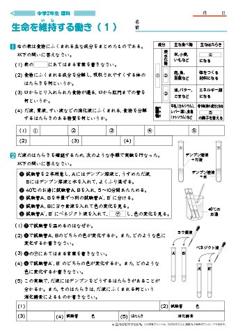 ちびむすドリル ٹوئٹر پر 作成 公開しました 中学生 中学２年生 理科 問題プリント 生命を維持する働き ７枚 を公開しました T Co Lpvhdyzbv5 無料でダウンロード プリントアウトできる 中２理科 生命を維持する働き の問題プリントです