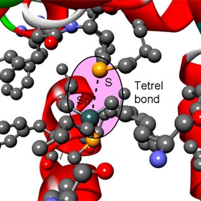 ChemEurJ's tweet photo. Bauza and Frontera report the importance of #tetrel #bonding #interactions on the #activation of #peroxisome #receptors by #organotin compounds @UIBuniversitat https://t.co/a4lGE1Msyb https://t.co/PjLjCdnw6u
