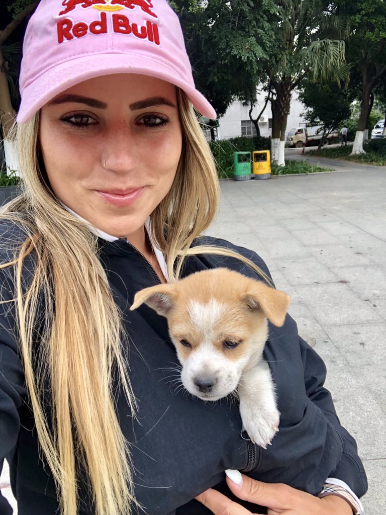 LeticiaBufoni's tweet photo. My new buddy! Found him today at a skate spot! Meu novo amiguinho, achei ele hj num pico de skate.. quero pra mimmm 😍 https://t.co/nspDUT3xk2