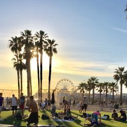 our short #Brexit comedy #Article50 is going to America! It will be screened in Santa Monica as part of of <a href="/cinema_edge/">Cinema At The Edge</a> if you’re about our screening is Saturday at 2pm #LaLaLand #festival #film #short #outisout