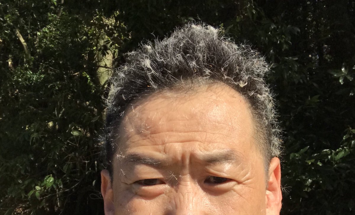 ガマの穂 爆発させたことありますか ガマの穂 爆発させたことありますか
