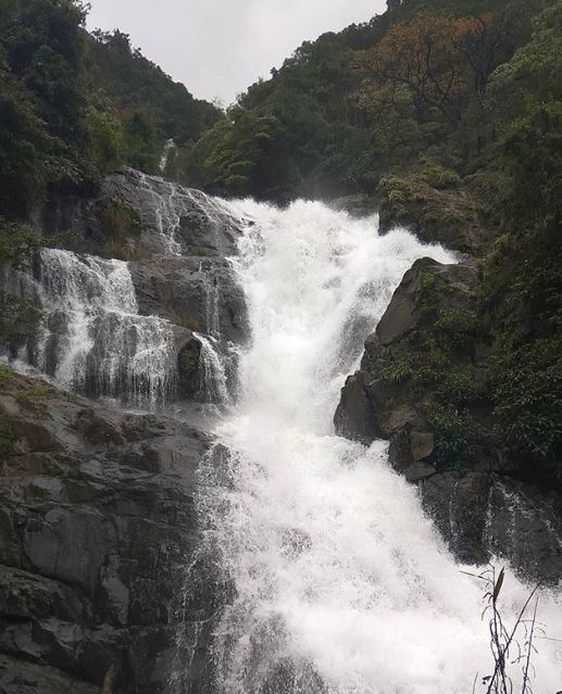 GoaGrapevine's tweet photo. #Throwback to the rainy season! 😀
Trek to Tambdi Surla Waterfall, a 1-hour Climb to the top and the view was totally worth it 😍
.
.
#Goagrapevine #GG #Bloggerlife #foodblogger #travelblogger #goa #blogsofgoa #GoaLife #Knowledge #tourism #goatourism #Goabloggers #igers https://t.co/esyqCJP1Nj