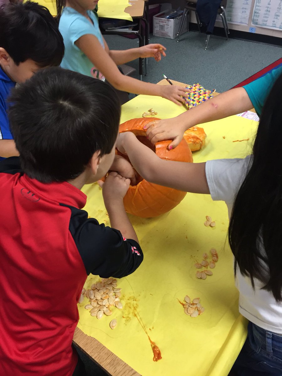 ms_janicki's tweet photo. Pumpkin investigations in First Grade! 🎃 @BPE_Broncos https://t.co/yr1USrqJuG