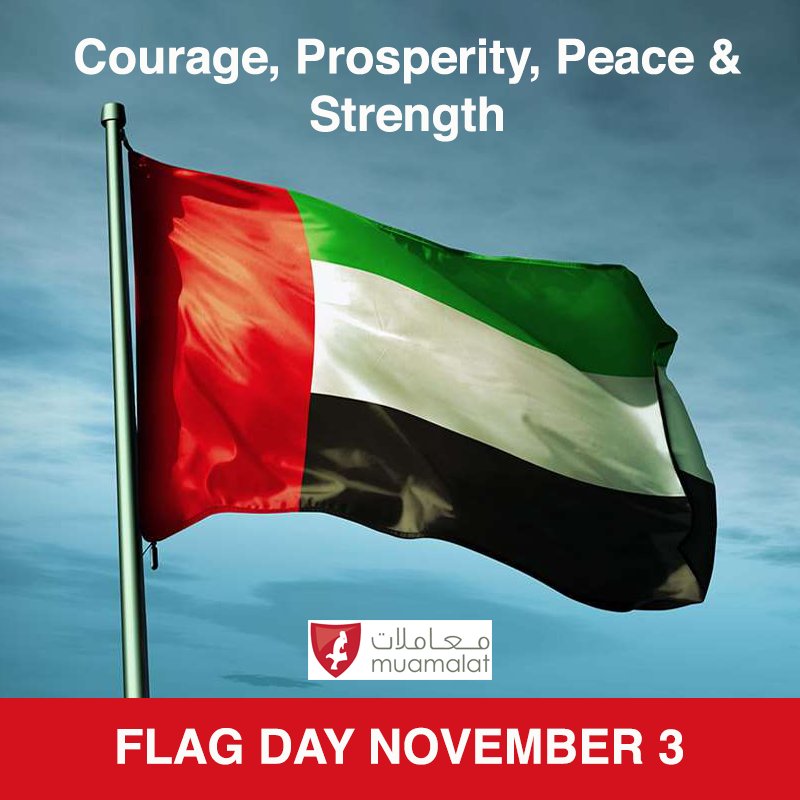 #nationalflagday #UAEFlagDay #uaeflag #nationalflag #flagdayuae #UAE #flagday #flagday2018 #abudhabi #myabudhabi #tasheel #muamalat