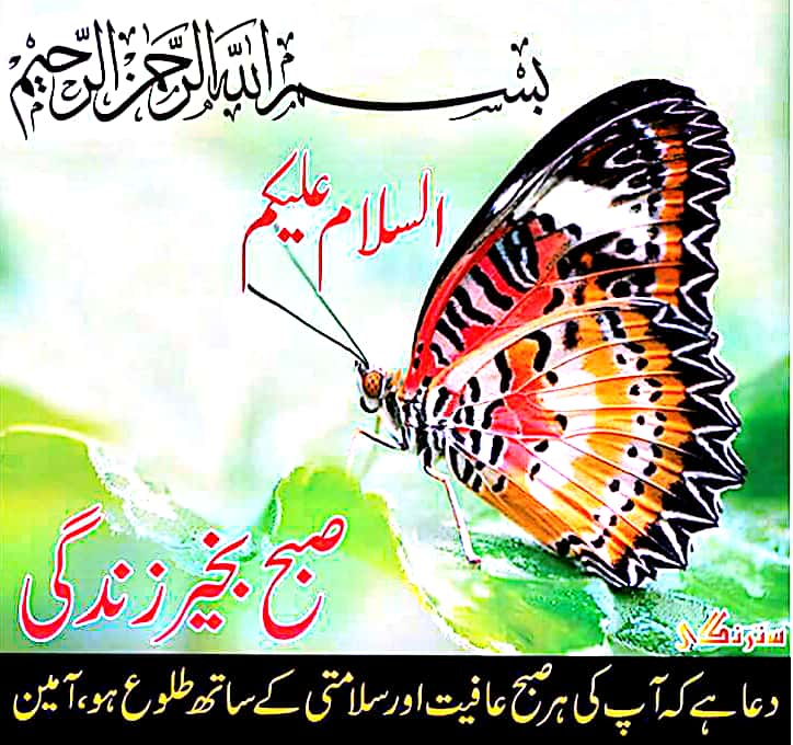 Muhamma98778905's tweet photo. Allah sub ko khush rakhy ameen https://t.co/n6zjnZNjuR
