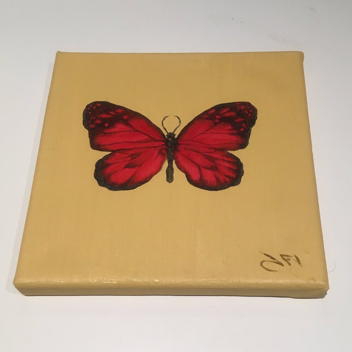JillIliffe's tweet photo. Little oil on canvas off to Chalk Gallery, Lewes. @chalkgallery #butterfly #red https://t.co/tn0YhP69bz