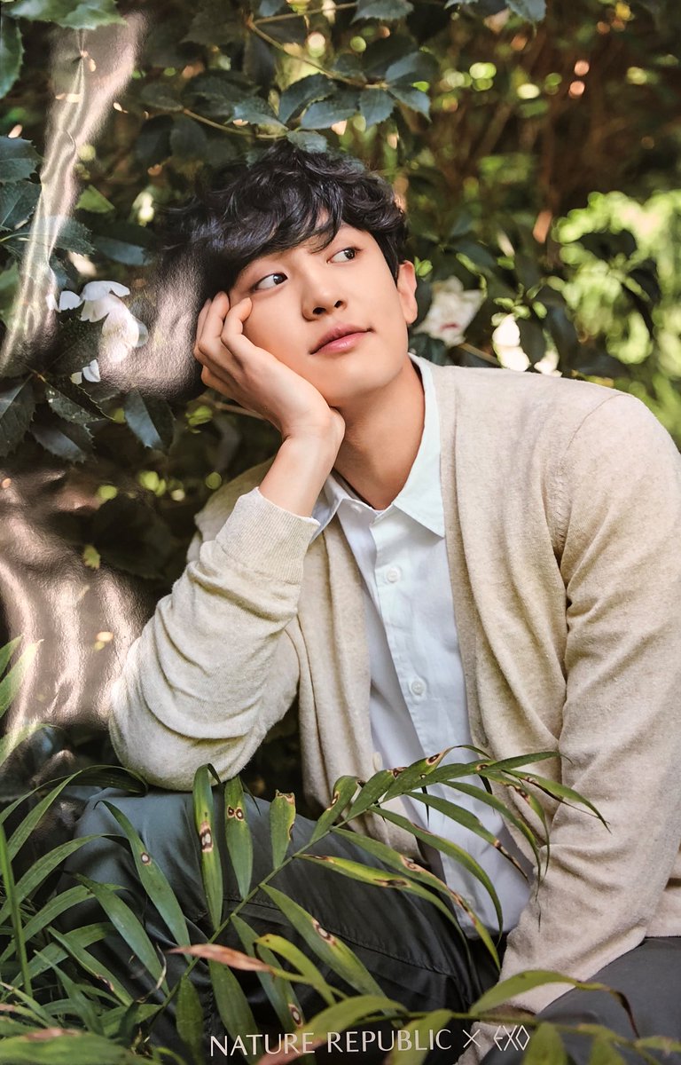 Best Of Cb Exo X Nature Republic Bromide 찬열 백현 Chanyeol Baekhyun Cr Busandepart