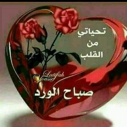 _abar1234's tweet photo. https://t.co/aaxtkQGQ27