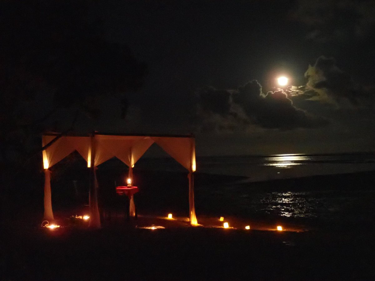 NMaldives's tweet photo. 満月の日のスーパーロマンティックディナー❤︎ Why not have a romantic dinner in the beach with this view🌕
Presented by Alaka at Maafushi
- - -
#低予算で #気軽に #モルディブ #旅行 #マーフシ #ゲストハウス  #ローカル島 #リゾートじゃないよ #海 #ビーチ #旅行  #海外旅行 #ダイビング https://t.co/UGrLtvtLsg