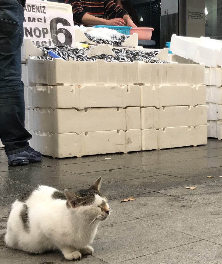 Yemek yerine uykuyu secenlerde bugun.