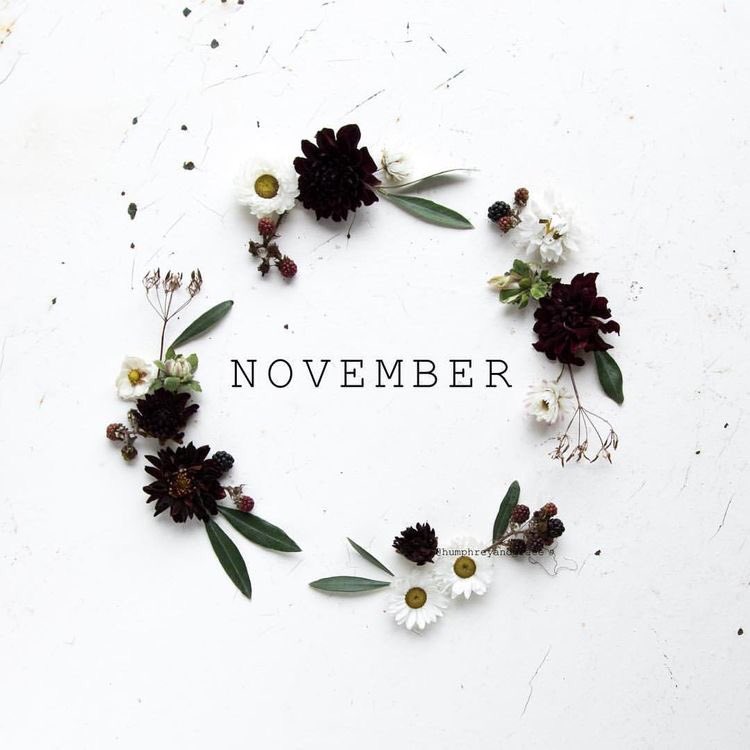 mairume_'s tweet photo. Let’s call this [NO]vember. 

- NO to old habits
- NO to the past
- NO to a lack of discipline 
- NO to any form of temptation 
- NO to anything that’s not done in truth and love, for self, God &amp; others
- NO to self harm and negative thinking. 

It’s okay to say NO. https://t.co/CVKvDeuLXI